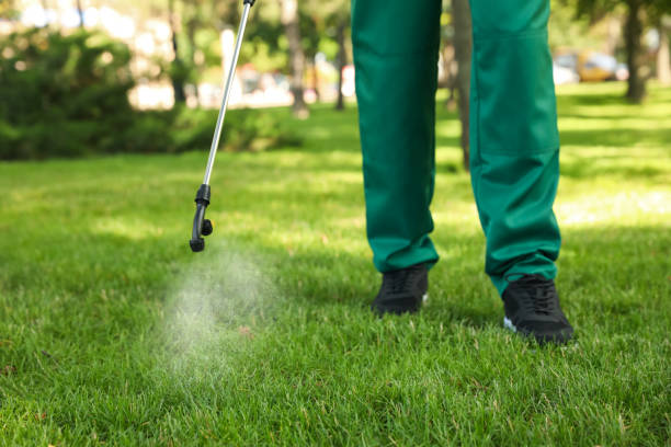 Best Flea Control Services  in Emory, TX