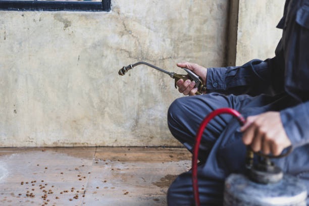Best Affordable Exterminators  in Emory, TX