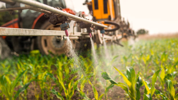 Reliable Emory, TX Pest Control Solutions